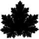 IFS Maple Leaf thumbnail